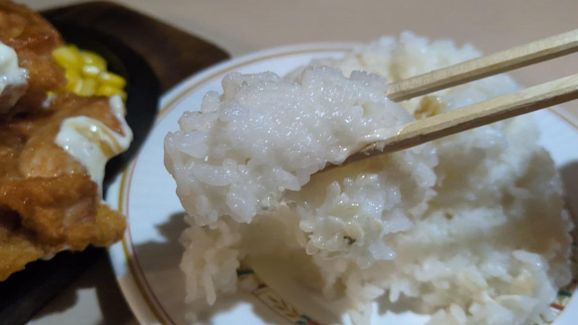 御茶ノ水 チキン南蛮 ご飯大盛 盛り